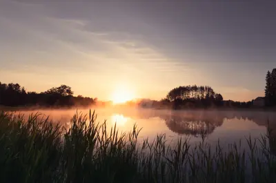 Pond with shrubs and trees around with a sunset reflecting off the water