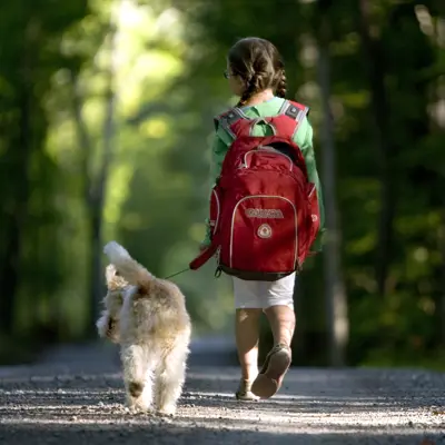 Dog and child walking together in forest