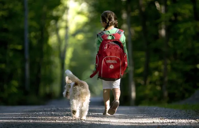 Dog and child walking together in forest