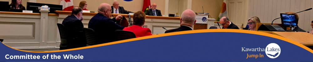 Committee of the Whole Highlights banner with Council sitting in Council Chambers