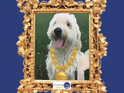 Cartoon image of dog wearing a mayoral chain of office. The image is surrounded by a fancy frame.