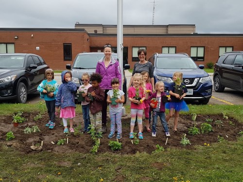 Dunsford Public Bee School