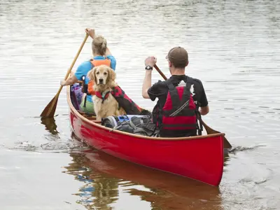 Couple canoeing with dog in water