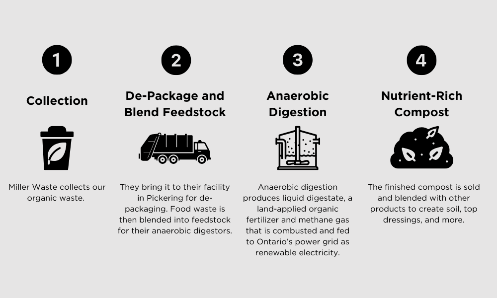 Graphic highlighting the four steps of the organics process