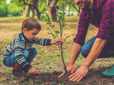 Photo of a young boy and a man planting a tree.