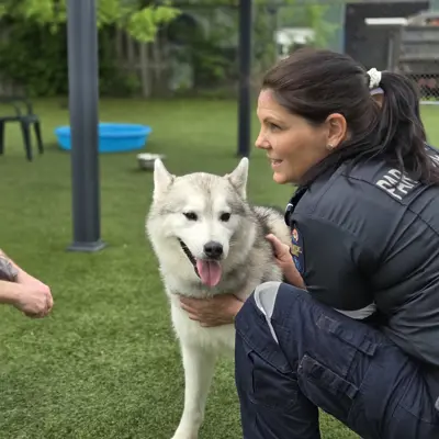 A pair of paramedics interacts with a pet dog