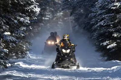 Snowmobiles on a snowy road with trees