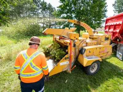Crews cleaning up brush with a woodchipper