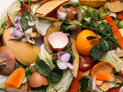 Close up pile of colourful food scraps
