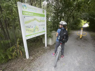 Cyclist looking at map of the Kawartha Trans Canada Trail.