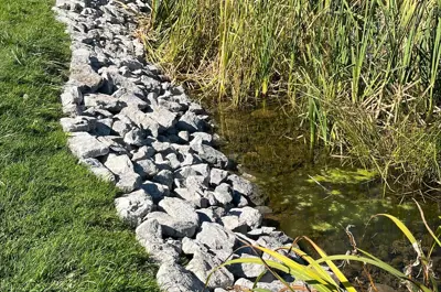 Omemee Boat Launch Rip Rap Shoreline Restoration Progress