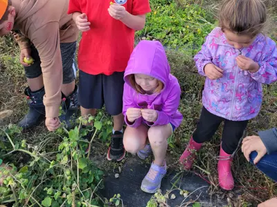 Children picking vegetables