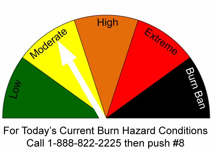 Burn Index: Moderate (yellow)