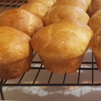 Dinner Rolls 