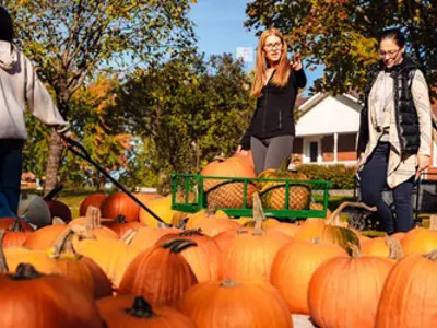 Women searching for the perfect pumkin in a large group of pumpkins. Boy pulling wagon.