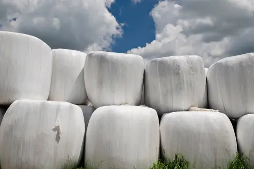 Round bales wrapped in white plastic with blue sky 