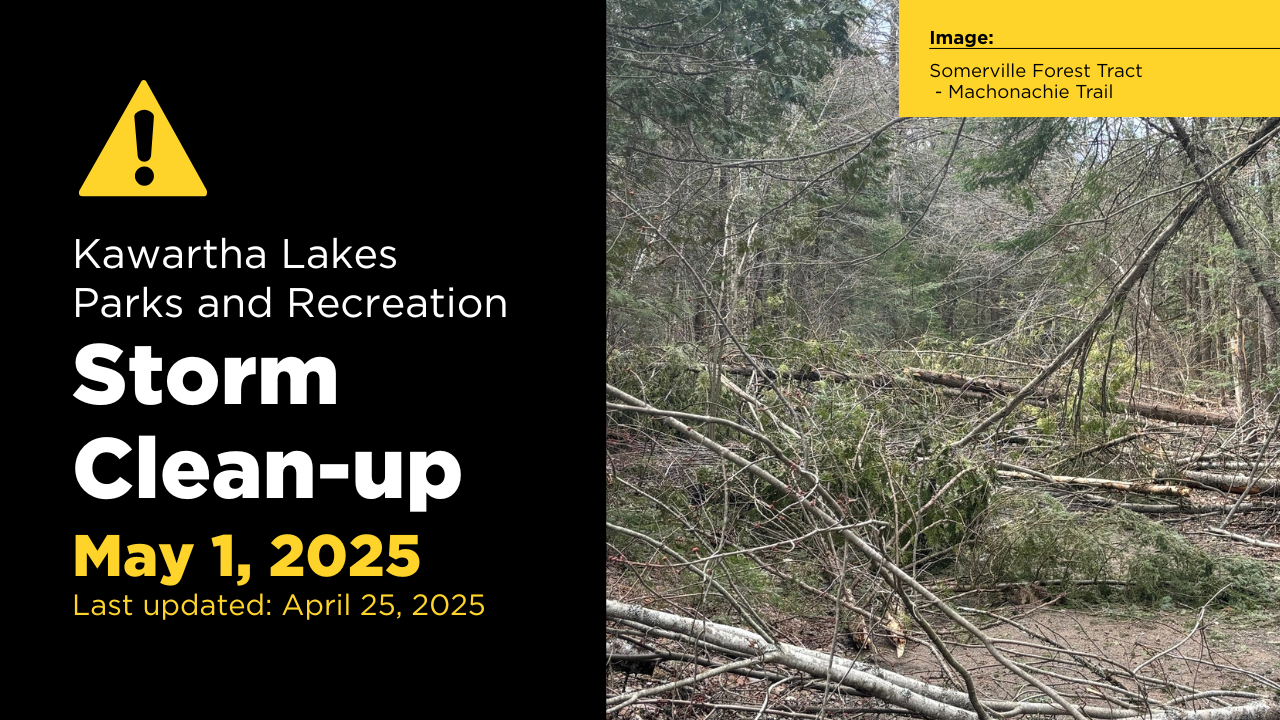 Image showing Ice Storm 2025 damage on the Machonachie Trail in the Somerville Forest Tract