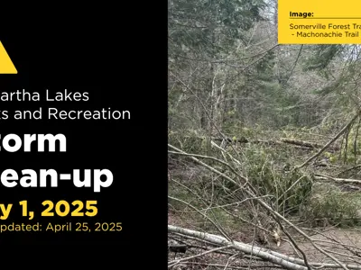 Image showing Ice Storm 2025 damage on the Machonachie Trail in the Somerville Forest Tract