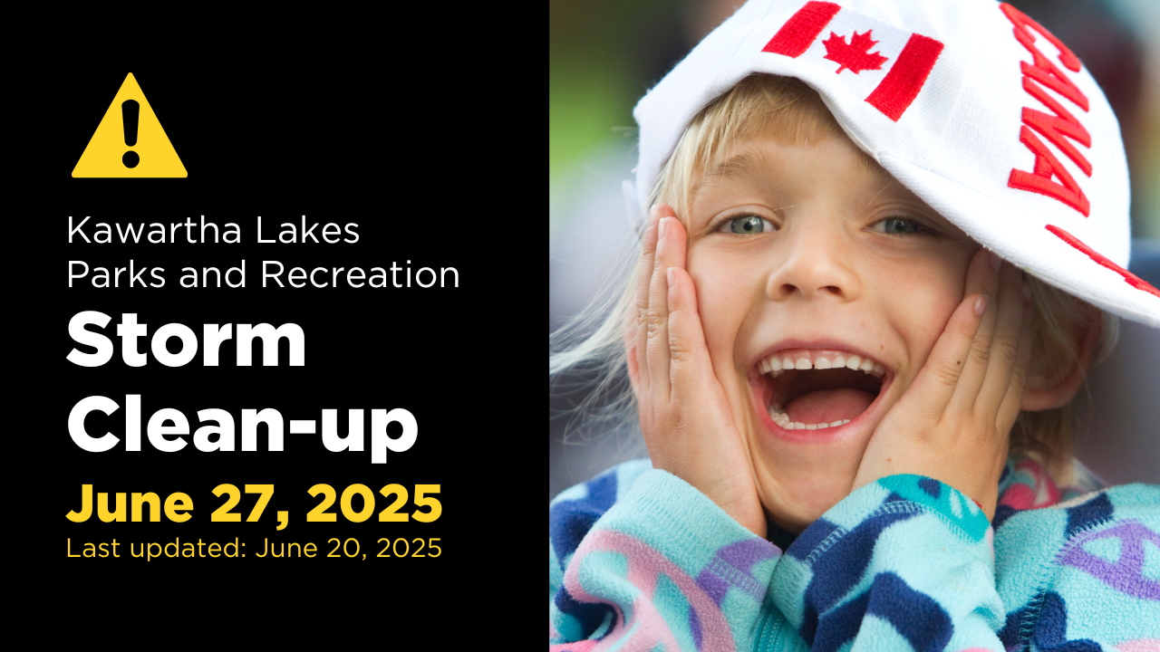 Image showing a child enjoying Canada Day at one of our open parks