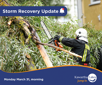 Storm update with tree being cut up