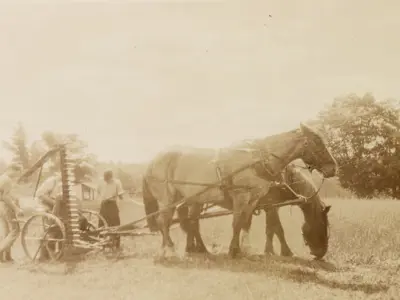 horses and plough