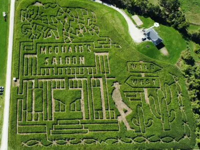aerial photo of a corn maze in a corn field