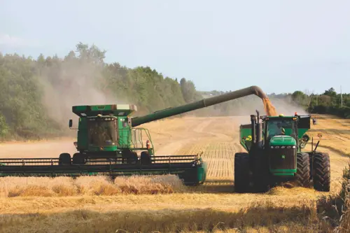 Green combine harvestng wheat and unloading into a grain buggy