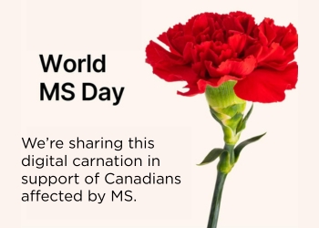 Photo of a red carnation, with text that reads, &quot;World MS Day&quot; &quot;We're sharing this digital carnation in support of Canadians affected by MS.&quot;