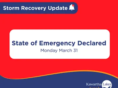 Declaration of State of Emergency