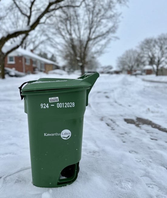 Organics rollout cart at the curb