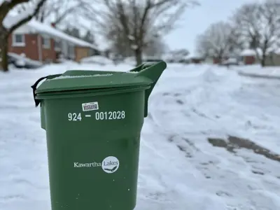 Organics rollout cart at the curb