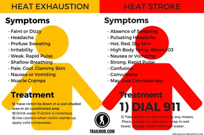 Infographic comparing heat exhaustion and heat stroke. Heat exhaustion: faint, dizzy, headache, sweating, irritability, rapid pulse, shallow breathing, pale clammy skin, nausea, cramps. Treatment: rest in cool shaded area, drink water, apply cool compresses. Heat stroke: no sweating, severe headache, hot red dry skin, temp above 103, nausea, rapid pulse, confusion, convulsions, unconsciousness. Treatment: call 911, cool victim with water or wet towel.