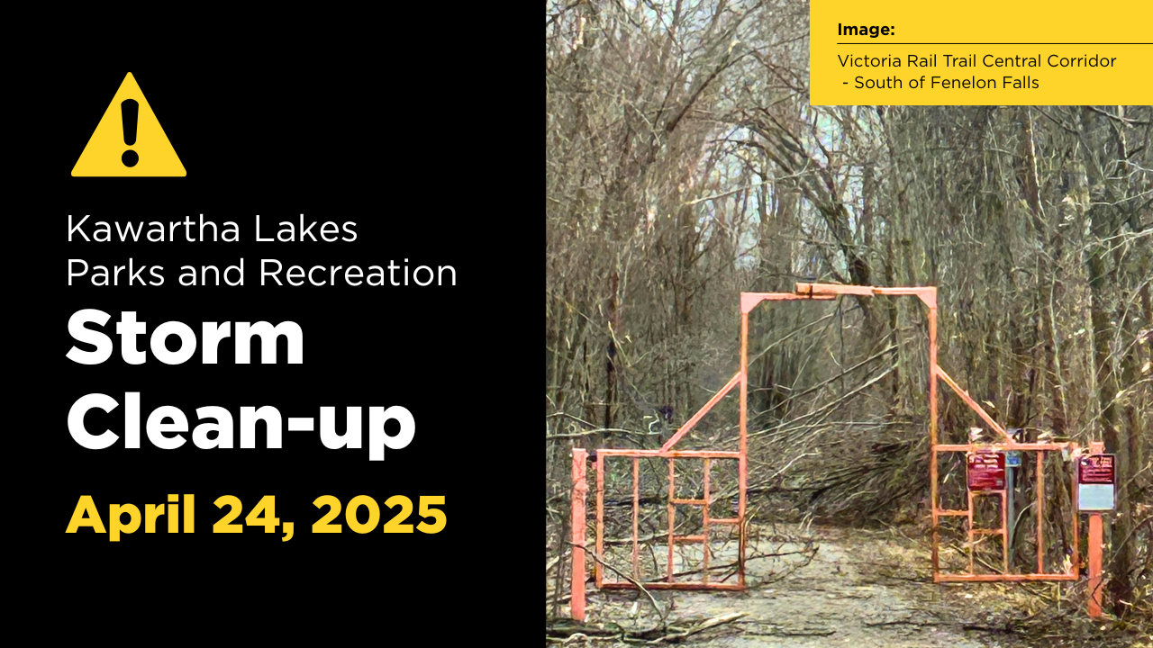 Image showing Ice Storm 2025 damage on the Victoria Rail Trail's South Corridor - South of Fenelon Falls