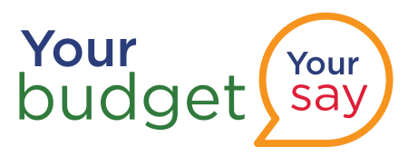 your budget - your say icon
