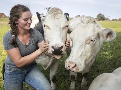 A woman in jeans and a t-shirt crouches down beside two cows. She is scratching one of their faces. A field of grass and blue sky are in the background.