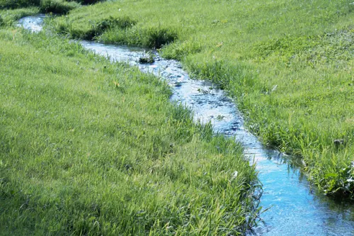 Small creek flowing through grassy area