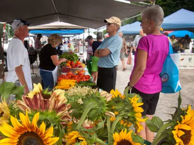 Sunflowers in a farm market stand with customers speaking with farm vendors