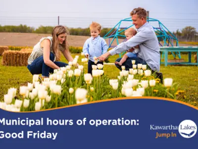Municipal hours of operation for Good Friday with a family picking tulips