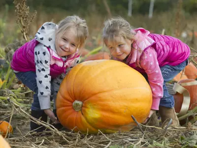 Two girls trying to lift pumpkin