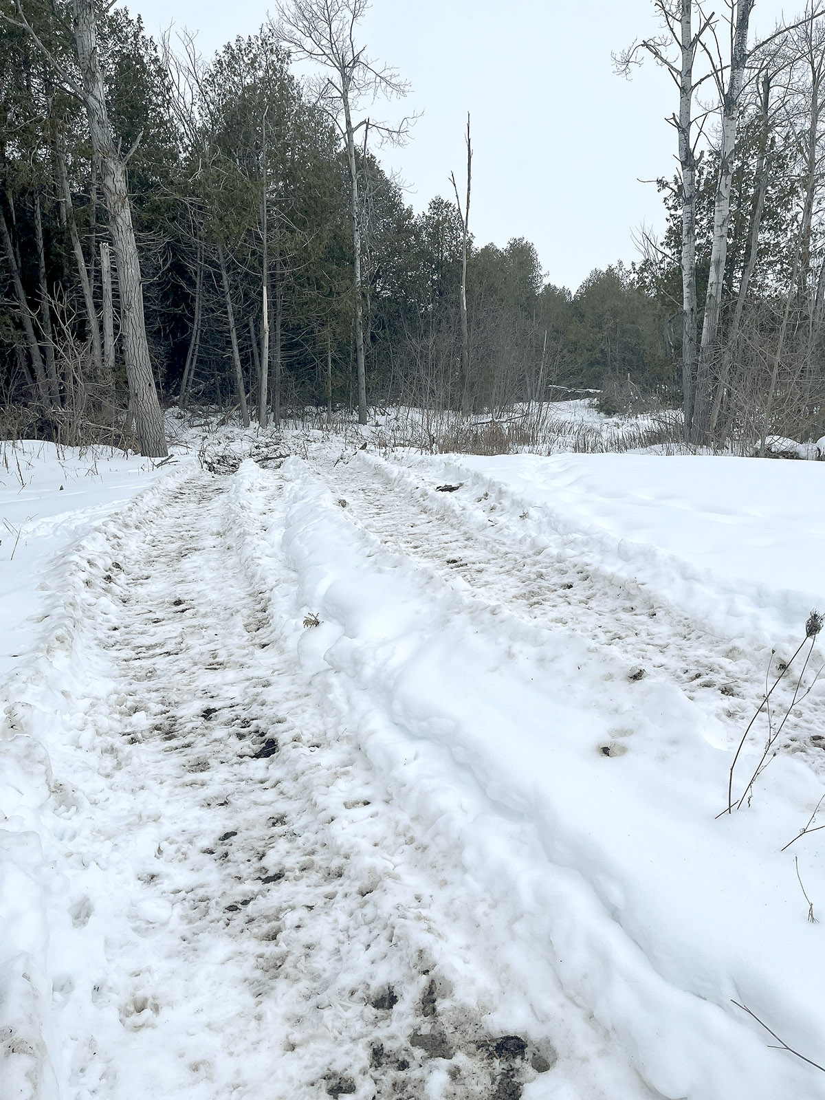 Image showing Jennings Creek connecting Trail Installation in progress