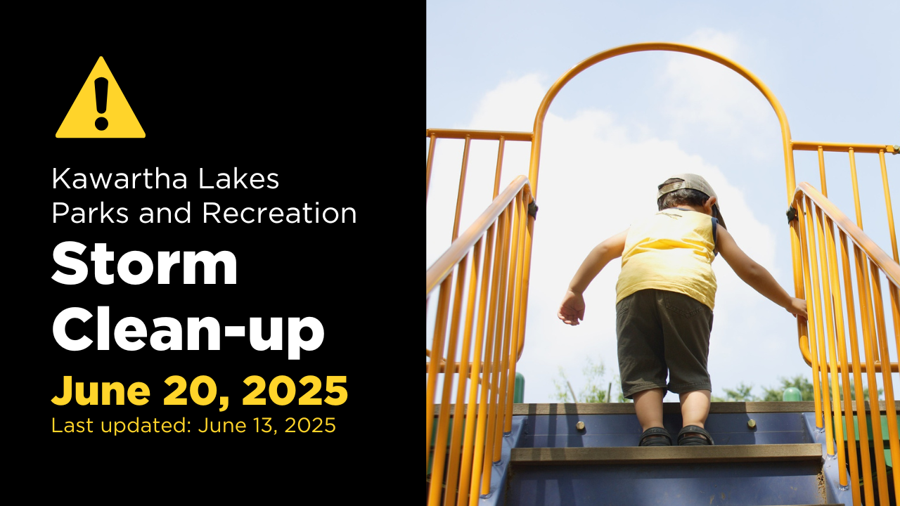 Image showing a child almost reaching the top of a climber at on of the parks in Kawartha Lakes
