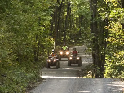 Three ATVs on a forest trail