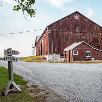 Red barn with a gravel laneway and two arrow signs that read Shop and Parking.