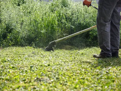 man trimming grass