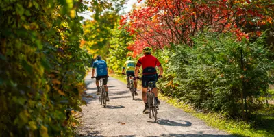Path among trees with people on bikes